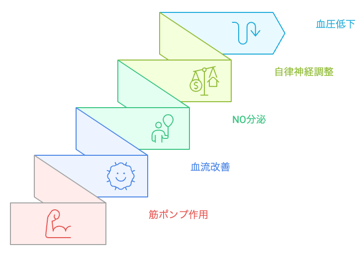 血圧を下げるためのステップ