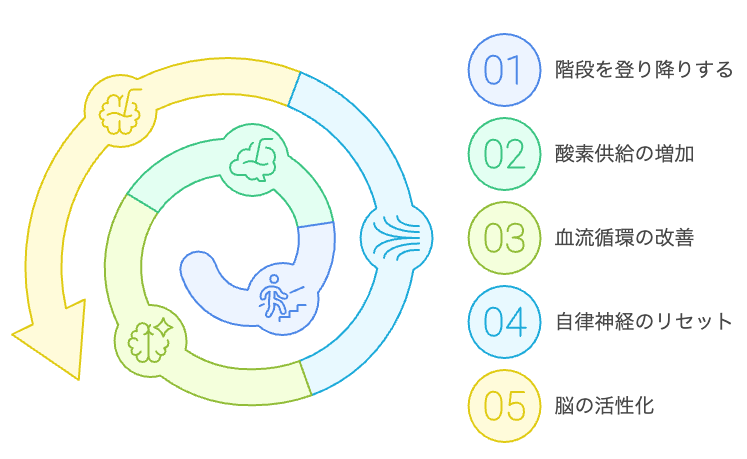 階段昇降による脳の活性化