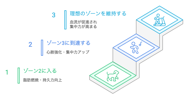 血流が促進され集中力が高まる