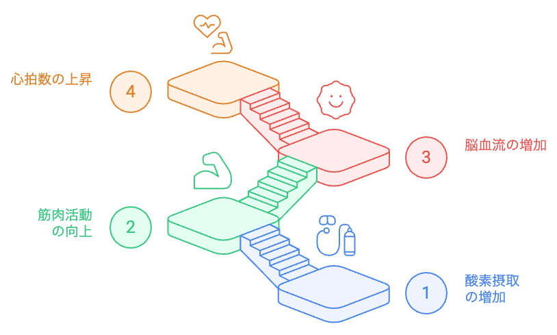 階段運動中の心拍数の上昇