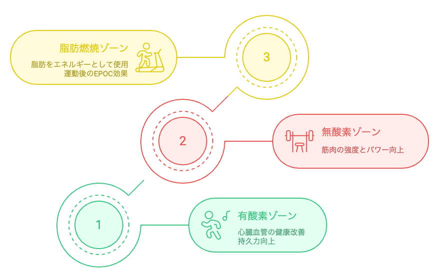 心拍ゾーン別効果