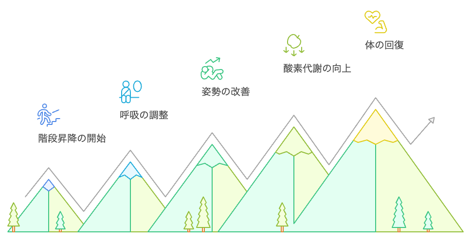 階段昇降による体の回復