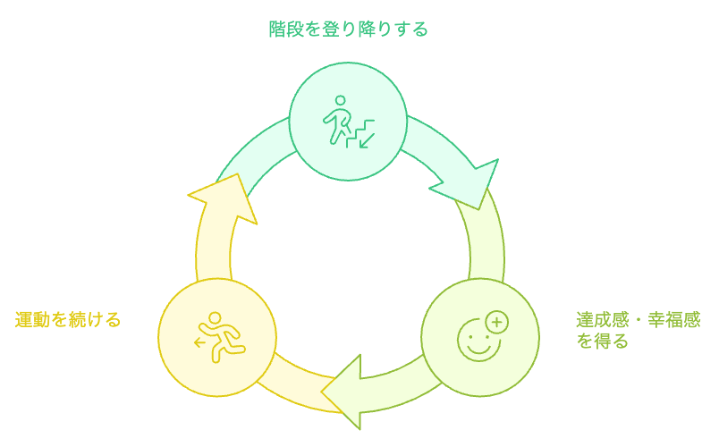 階段を登り降りする運動サイクル