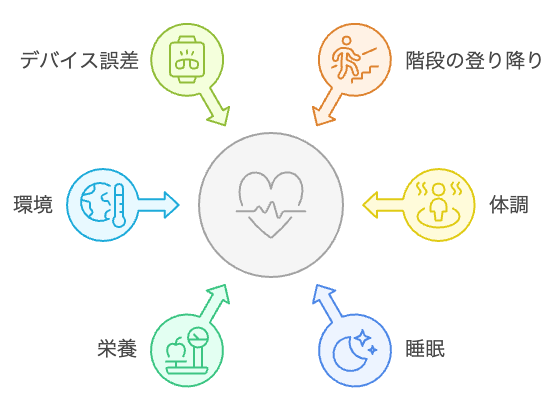 心拍数に影響を与える要因