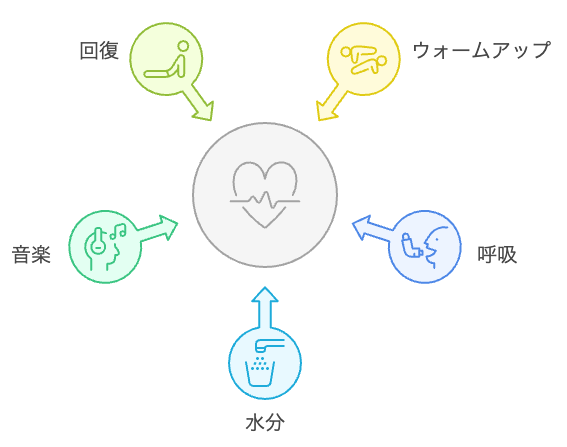 心拍と代謝を改善するための習慣