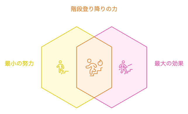 階段運動の科学的力