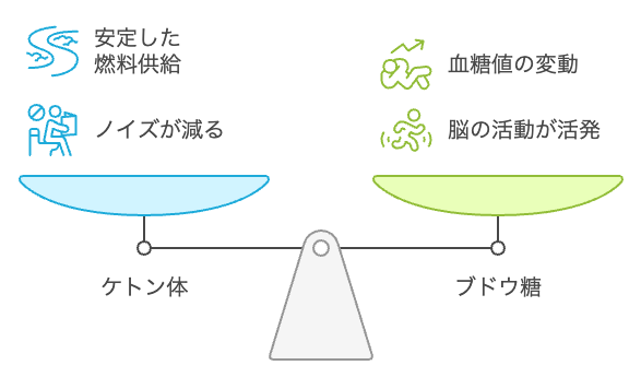 ケトン体は脳に安定した燃料を供給し、ノイズを減らします。