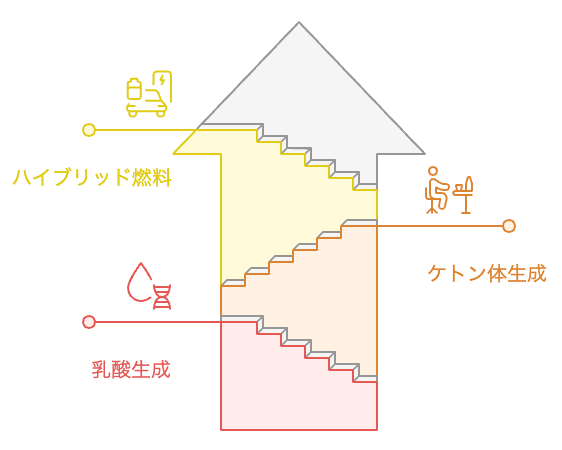 エネルギー経路の切り替え