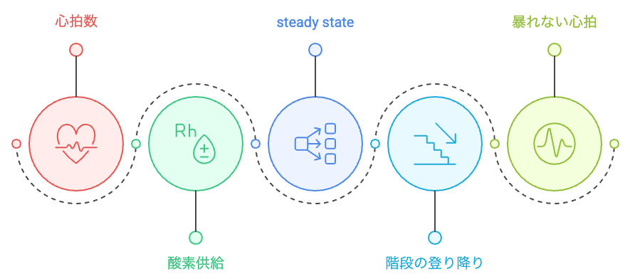 心拍数と酸素供給の安定化