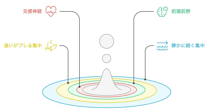 冴えと興奮の比較