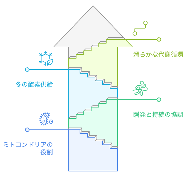 乳酸シャトル理論