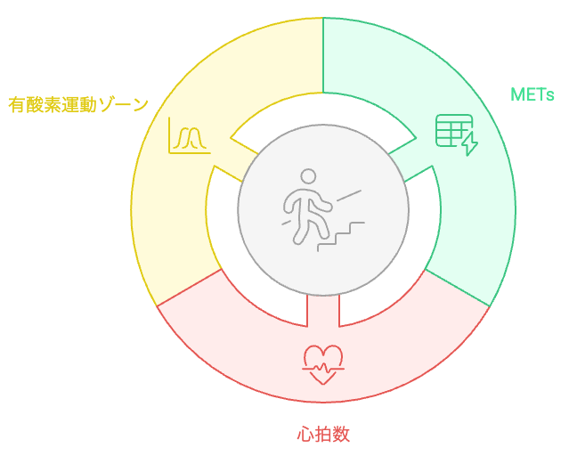 階段運動の強度
