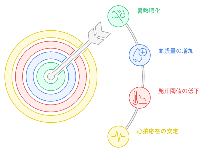 暑熱順化で身体に起こる3つの変化(血漿量・発汗閾値・心拍応答)の図解