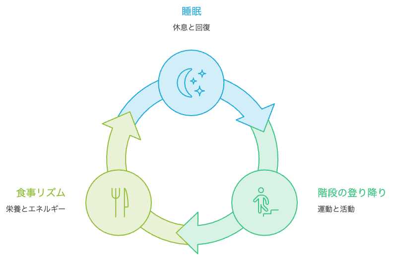 睡眠・階段・食事が円環でつながる習慣の環の図解