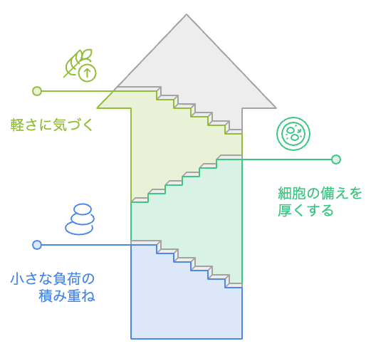 身体の中でも、複利は働いている