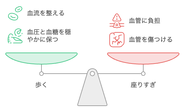 腎臓が血流の臓器であることを示す図解。歩くと血流・血圧・血糖が整い、腎臓の細い血管が守られる仕組み