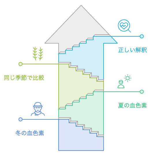 血色素量ヘモグロビンの夏低・冬高の季節変動を表す図解