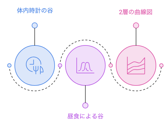 午後の眠気を作る体内時計の谷と昼食の谷を重ねた模式図