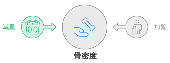 加齢と減量という2つの不利な条件と横ばいの骨密度を表す図解