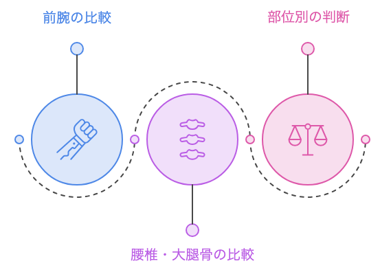 前腕・腰椎・大腿骨それぞれの基準点と次回比較の考え方を示す図解