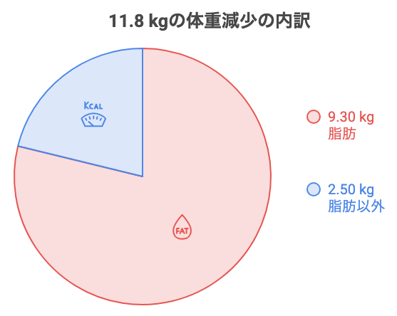 13 kg減量で落ちた体重の中身が脂肪およそ8割だったことを表す図解